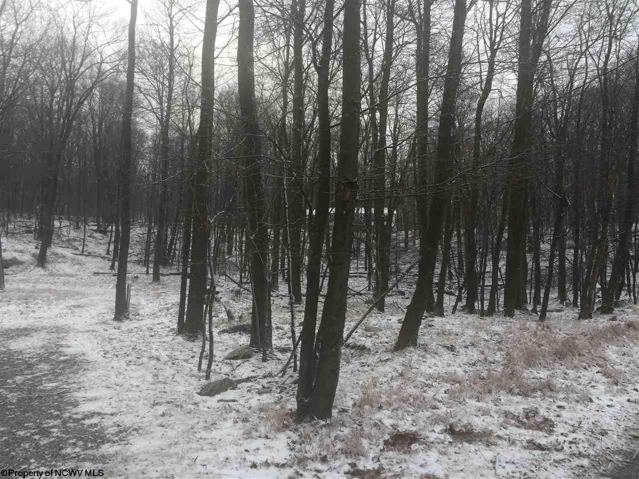 Lot 31 Skyview Estates, Bruceton Mills, WV 26525