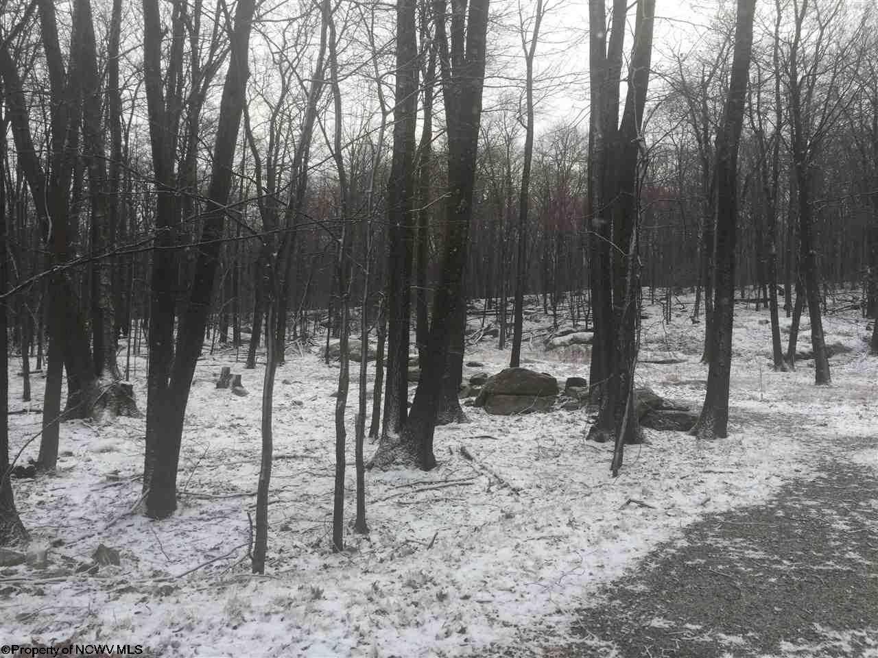 Lot 31 Skyview Estates, Bruceton Mills, WV 26525