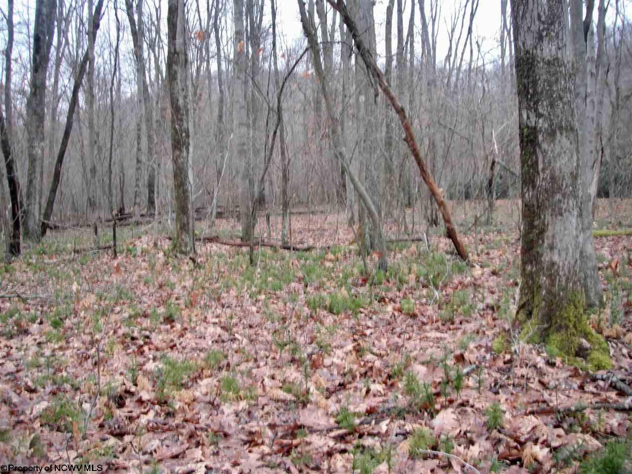 Lot 16 Sandy Creek Acres Drive, Bruceton Mills, WV 26525