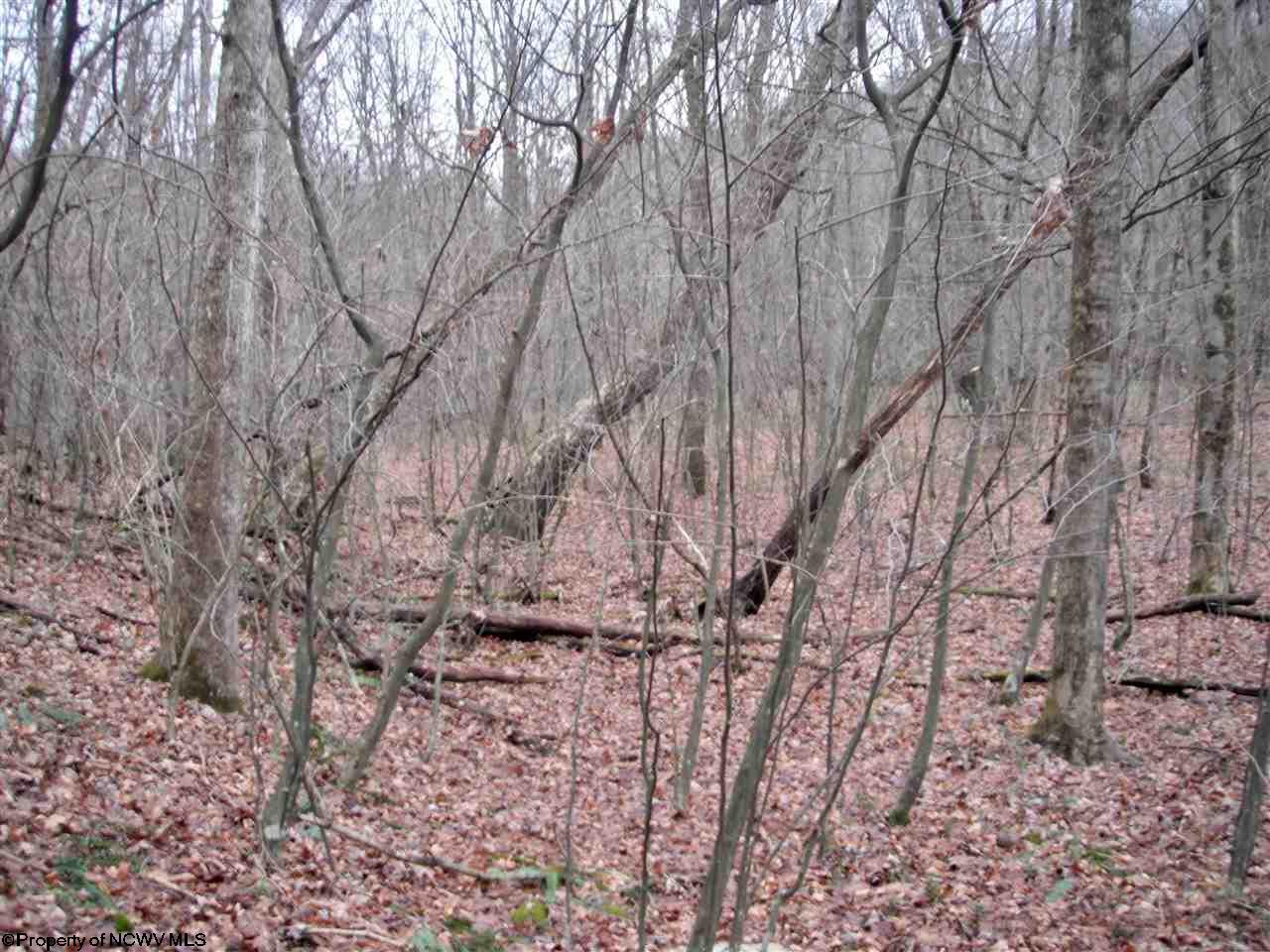 Lot 16 Sandy Creek Acres Drive, Bruceton Mills, WV 26525