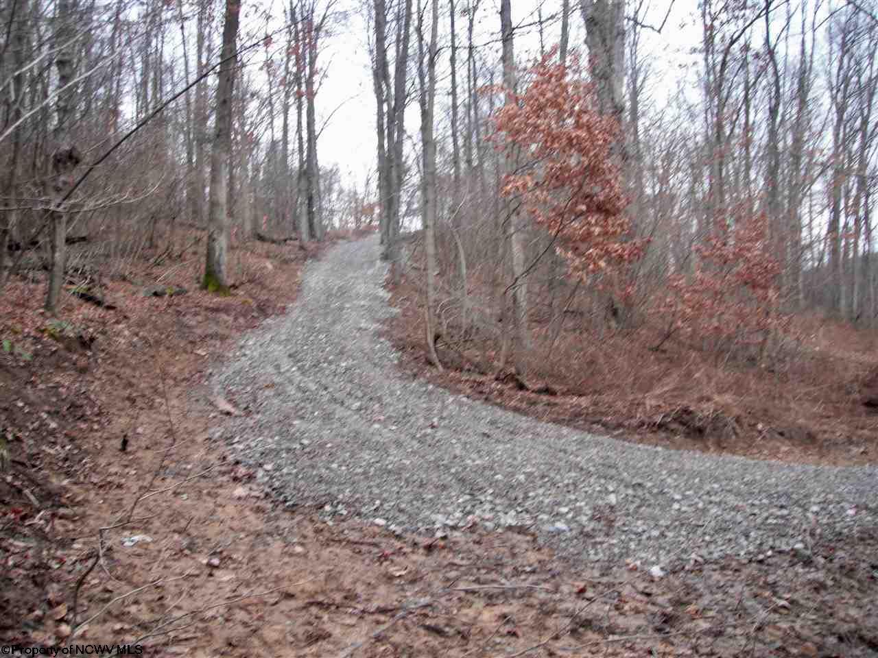 Lot 16 Sandy Creek Acres Drive, Bruceton Mills, WV 26525