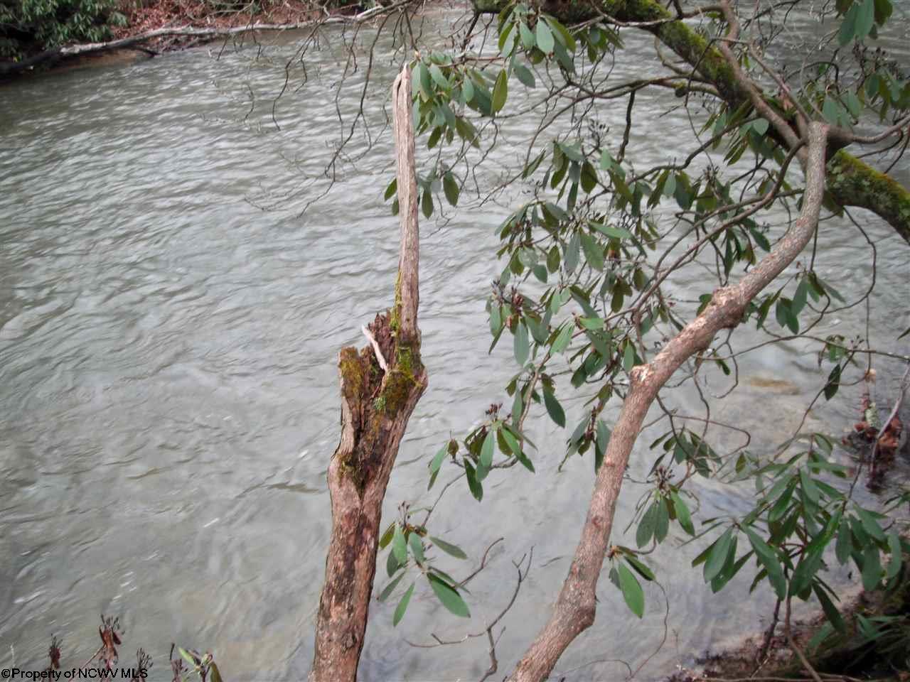 Lot 16 Sandy Creek Acres Drive, Bruceton Mills, WV 26525