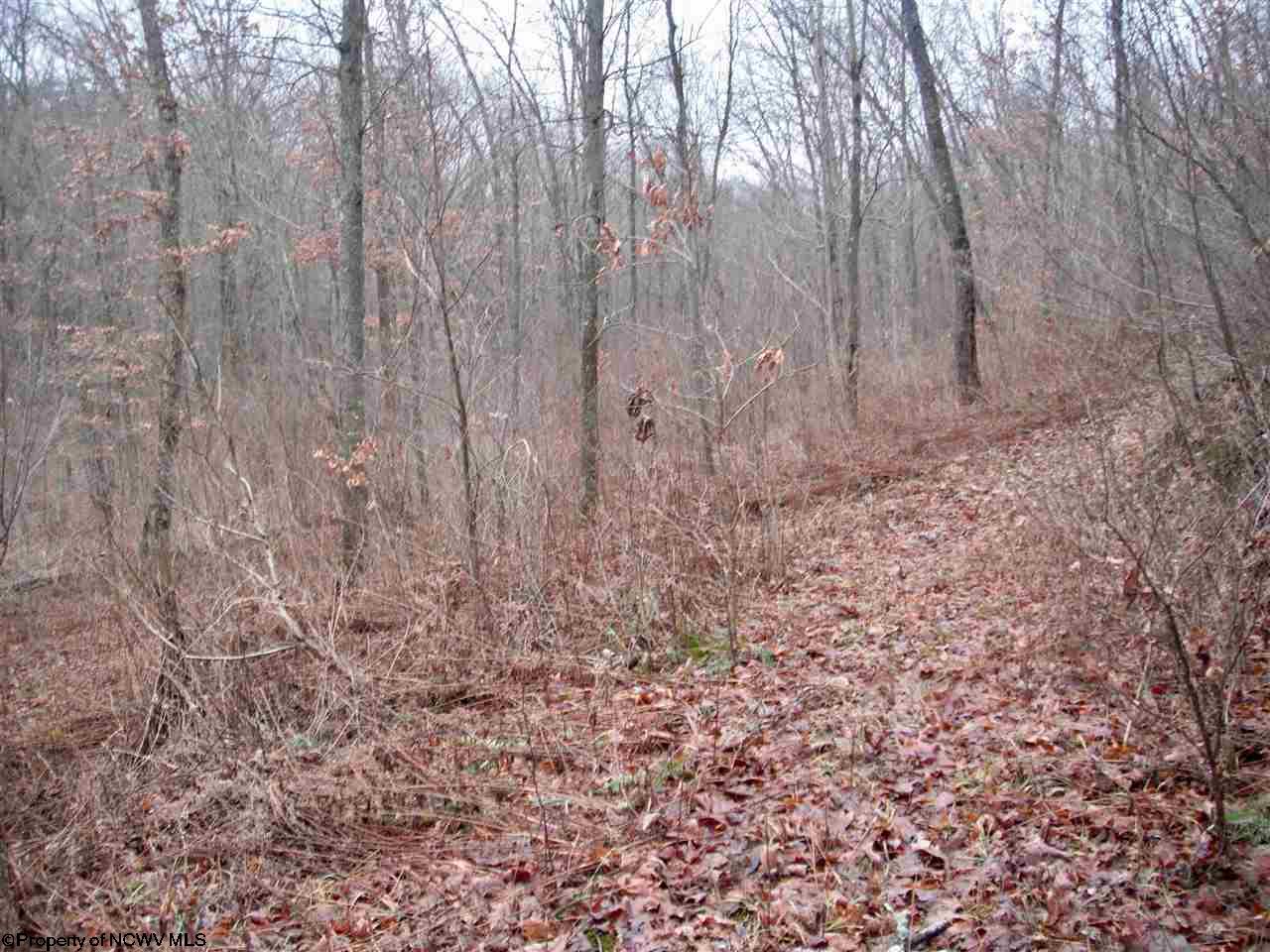 Lot 16 Sandy Creek Acres Drive, Bruceton Mills, WV 26525