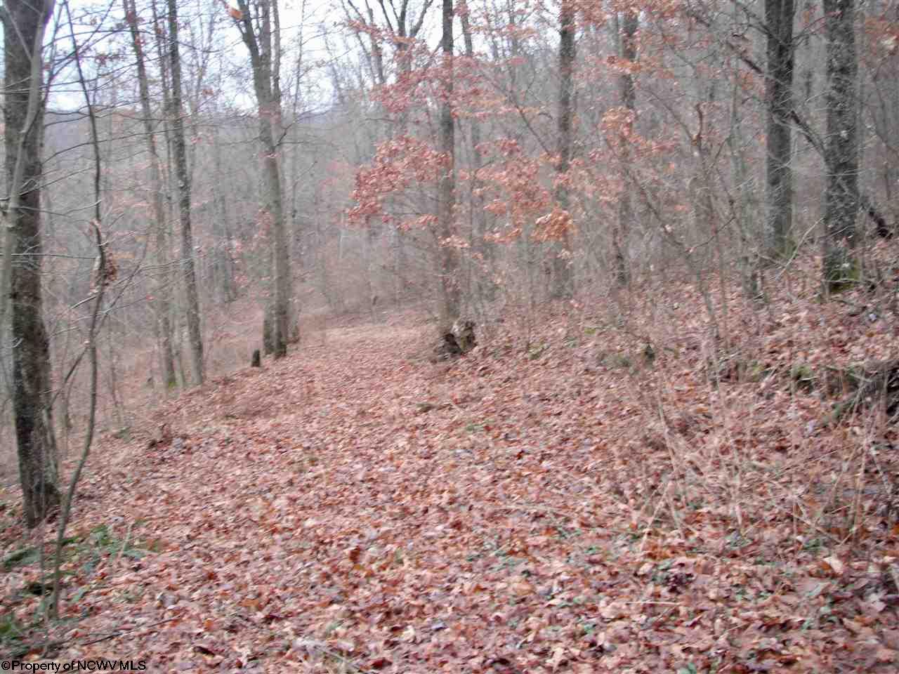 Lot 16 Sandy Creek Acres Drive, Bruceton Mills, WV 26525