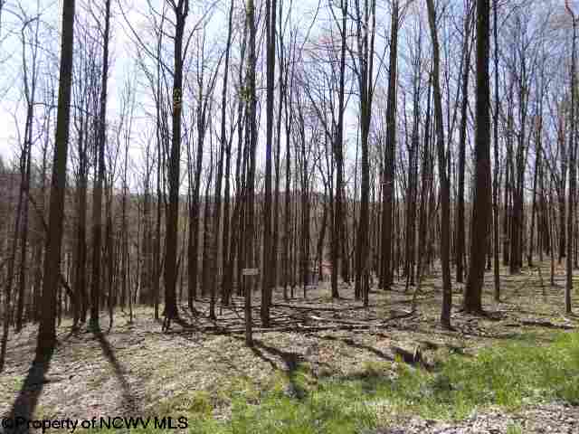 Lot 40 Hazelwood Drive
