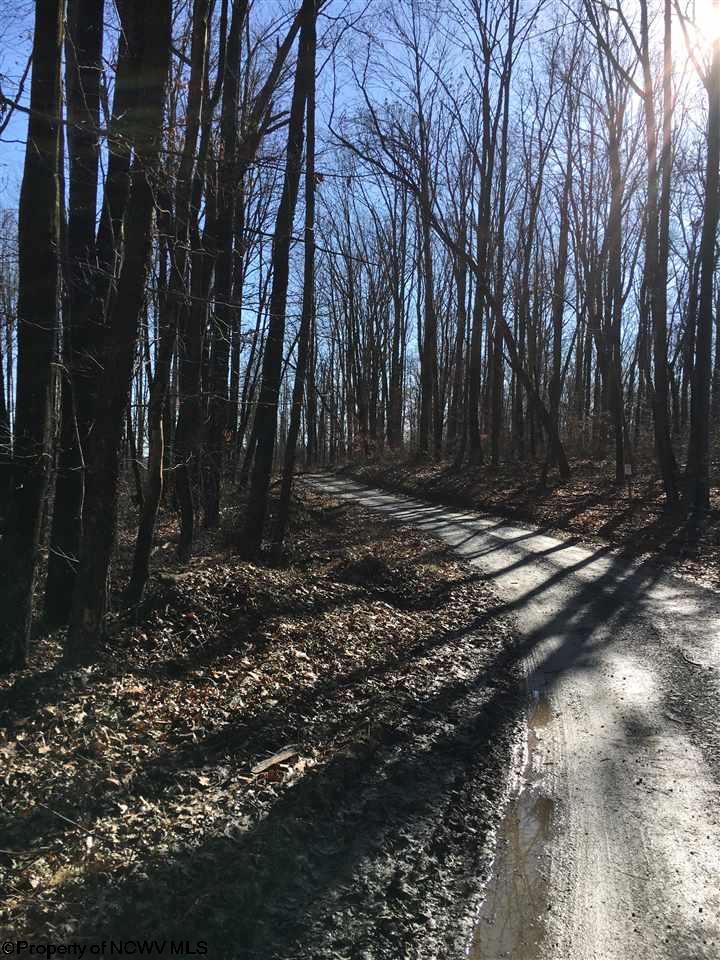 00 Sapp Weaver  Road, Independence, WV 26537