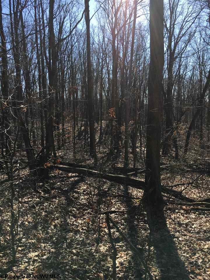 00 Sapp Weaver  Road, Independence, WV 26537