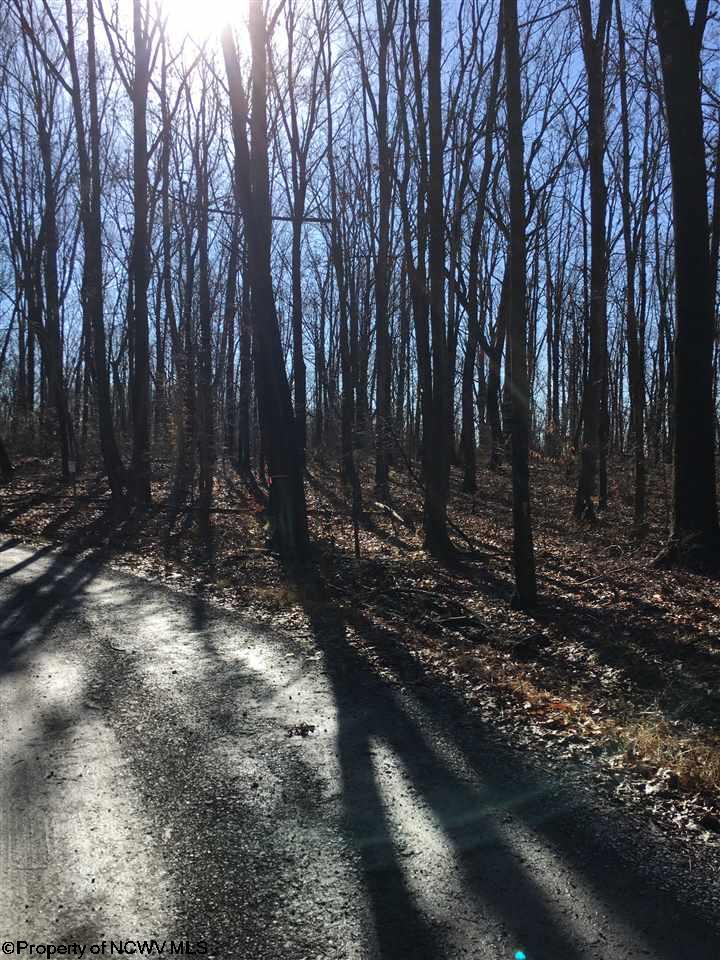 00 Sapp Weaver  Road, Independence, WV 26537