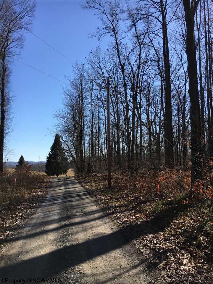 00 Sapp Weaver  Road, Independence, WV 26537