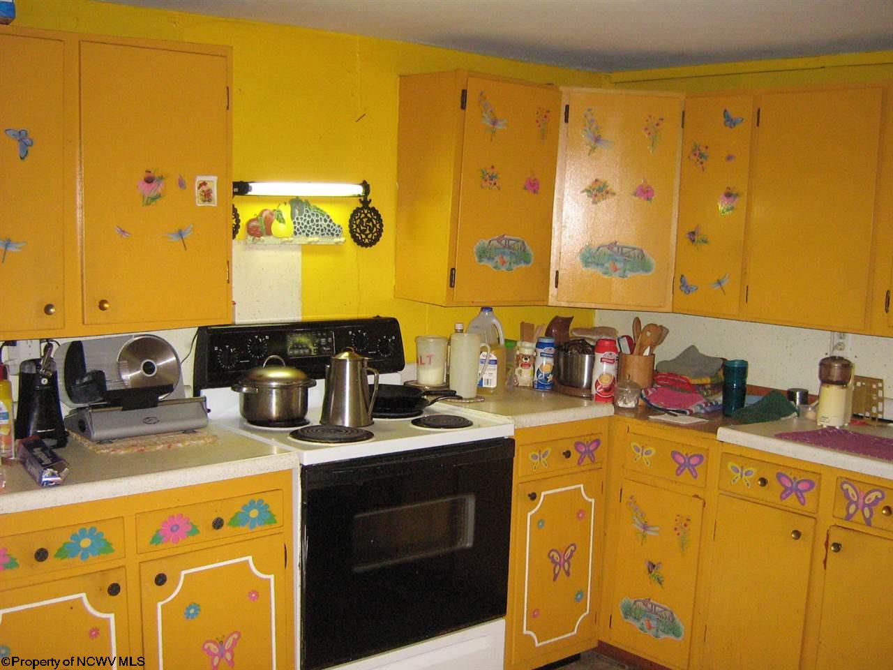 1648 Snider Loop, Kingwood, WV 26537