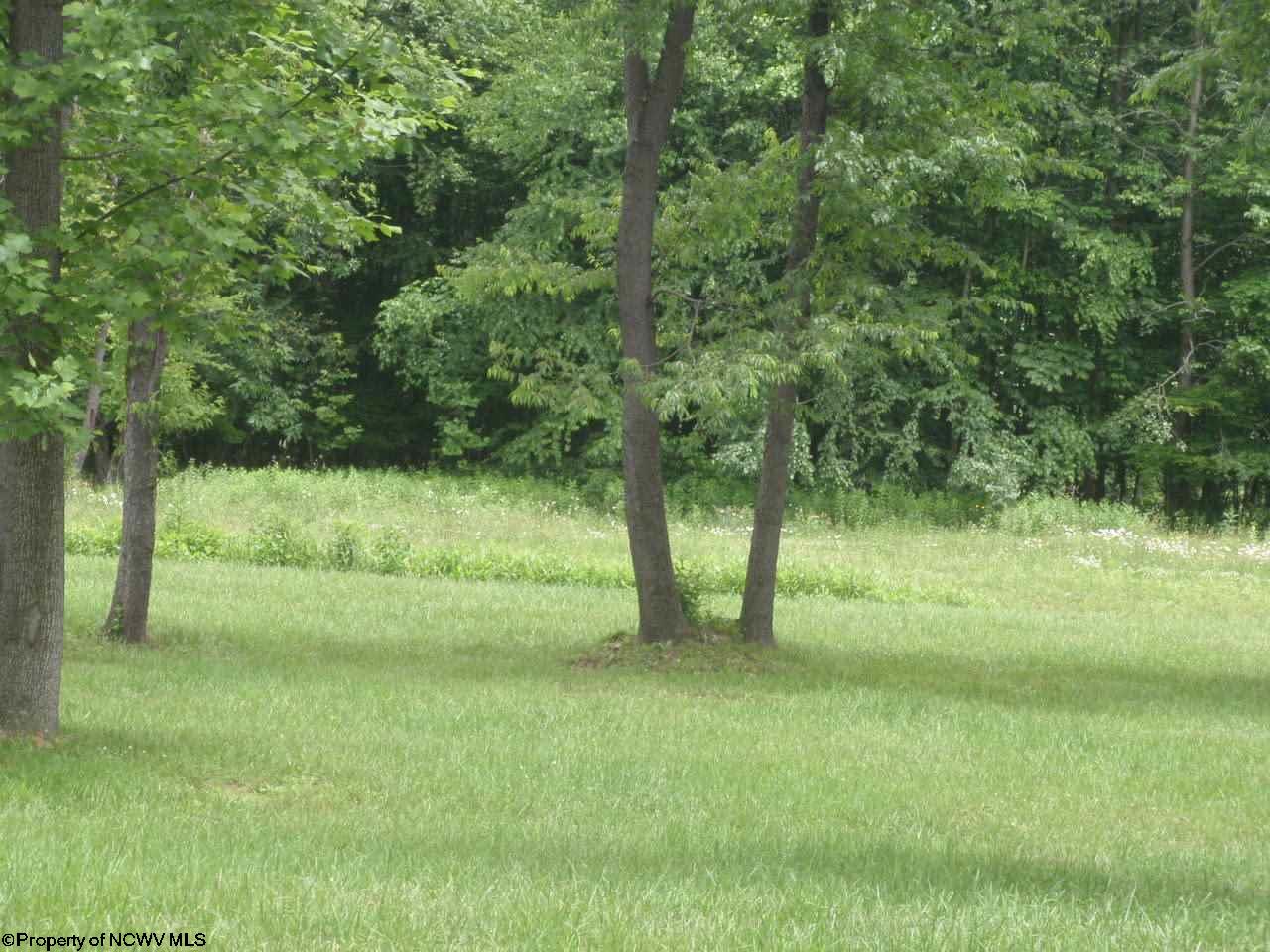 Lot 1 Holleran Estates, Kingwood, WV 26537