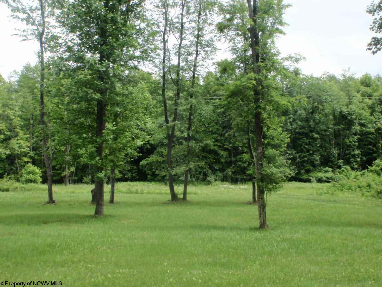 Lot 1 Holleran Estates, Kingwood, WV 26537