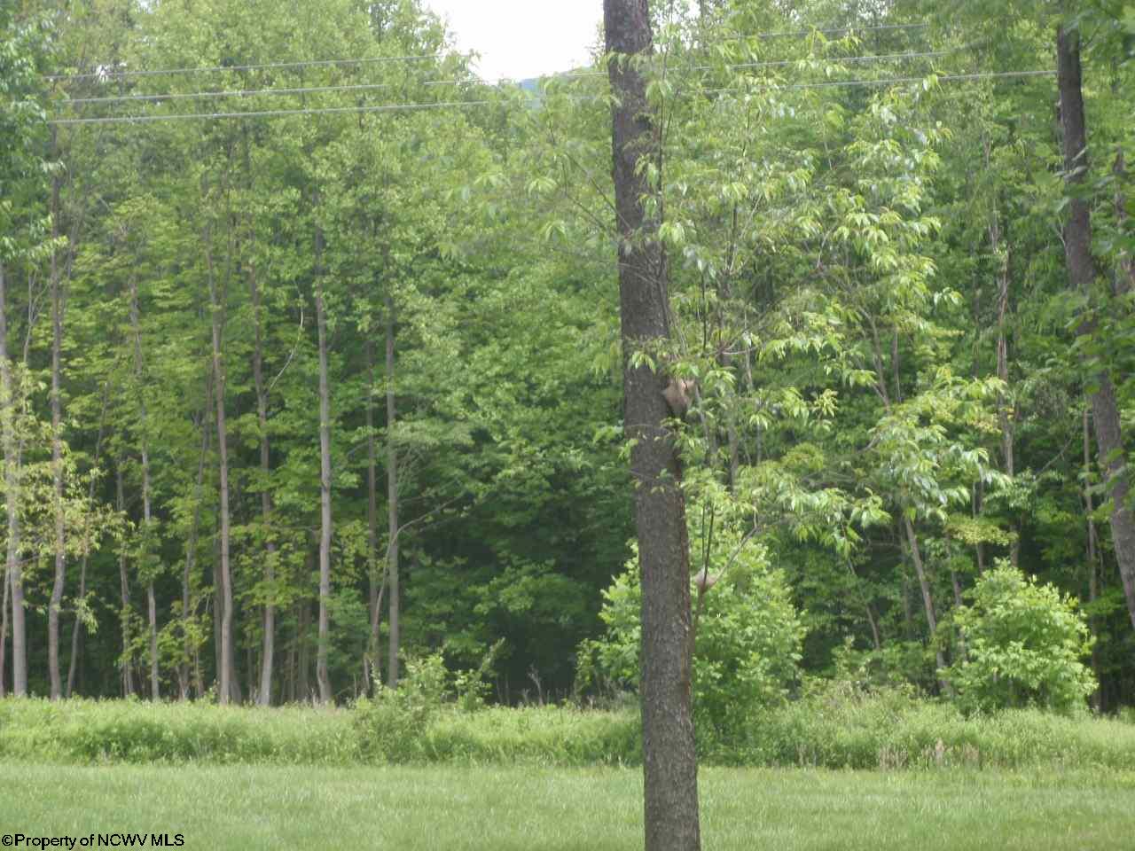 Lot 1 Holleran Estates, Kingwood, WV 26537