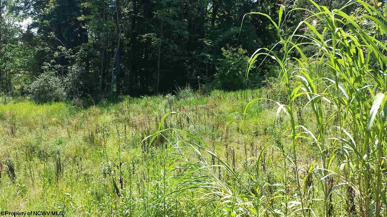 30 Albright Road, Kingwood, WV 26537