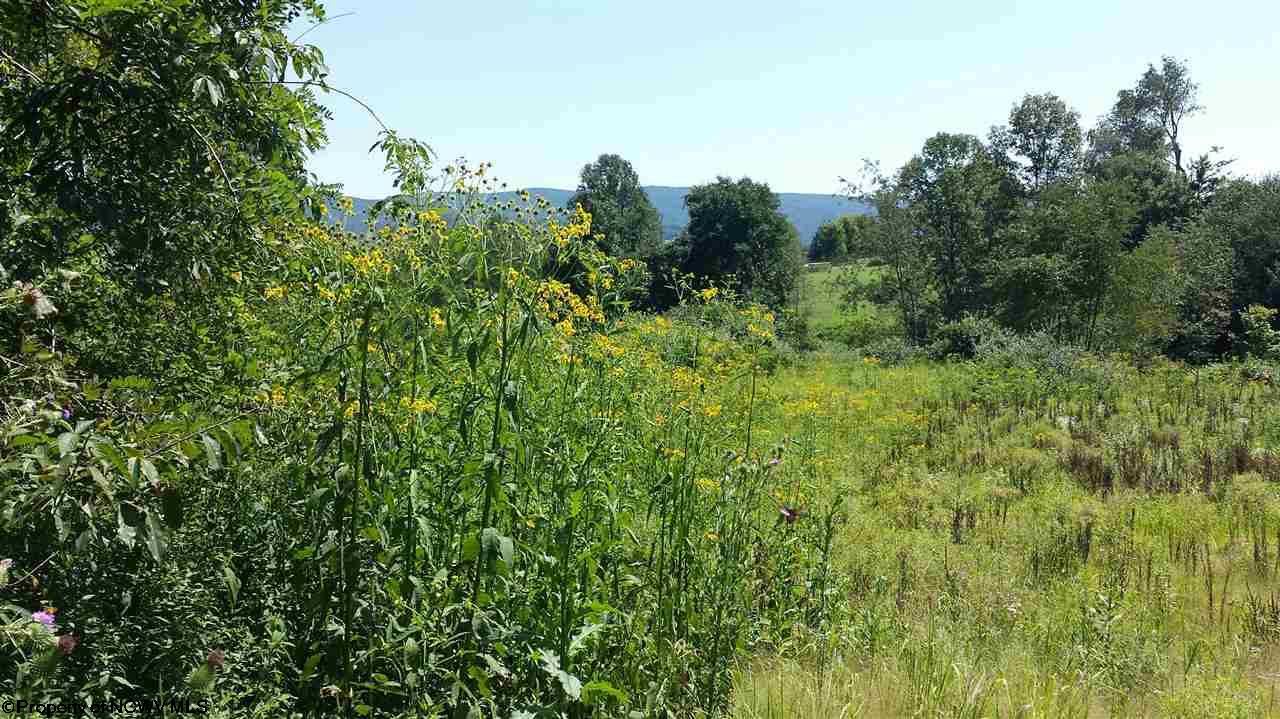 30 Albright Road, Kingwood, WV 26537
