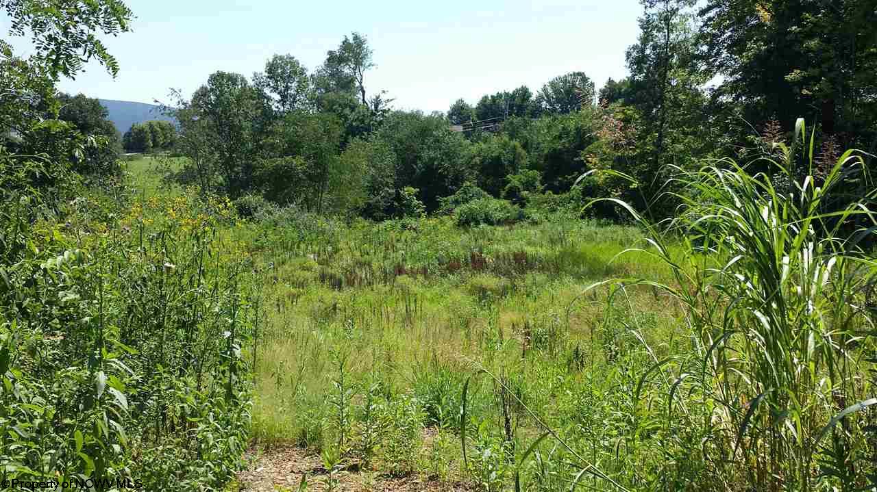 30 Albright Road, Kingwood, WV 26537