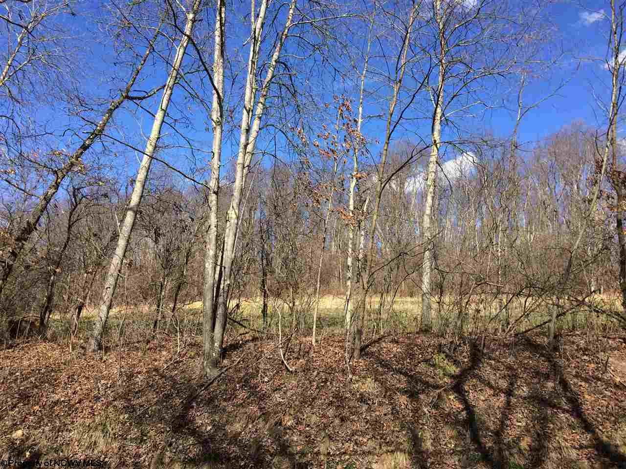 Lot 5 TBD W Herring Road, Masontown, WV 26542