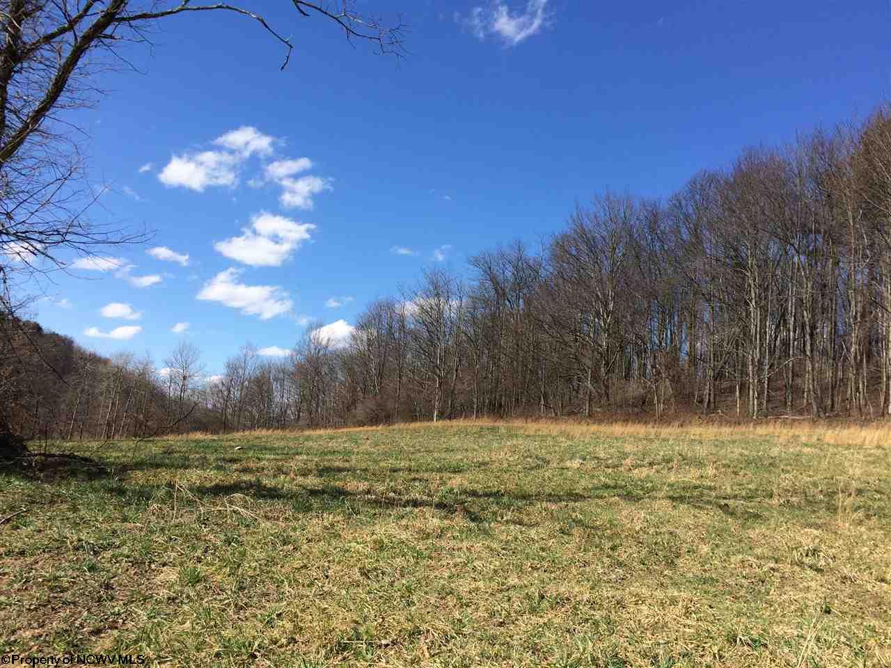 Lot 2 TBD W Herring Road, Masontown, WV 26542