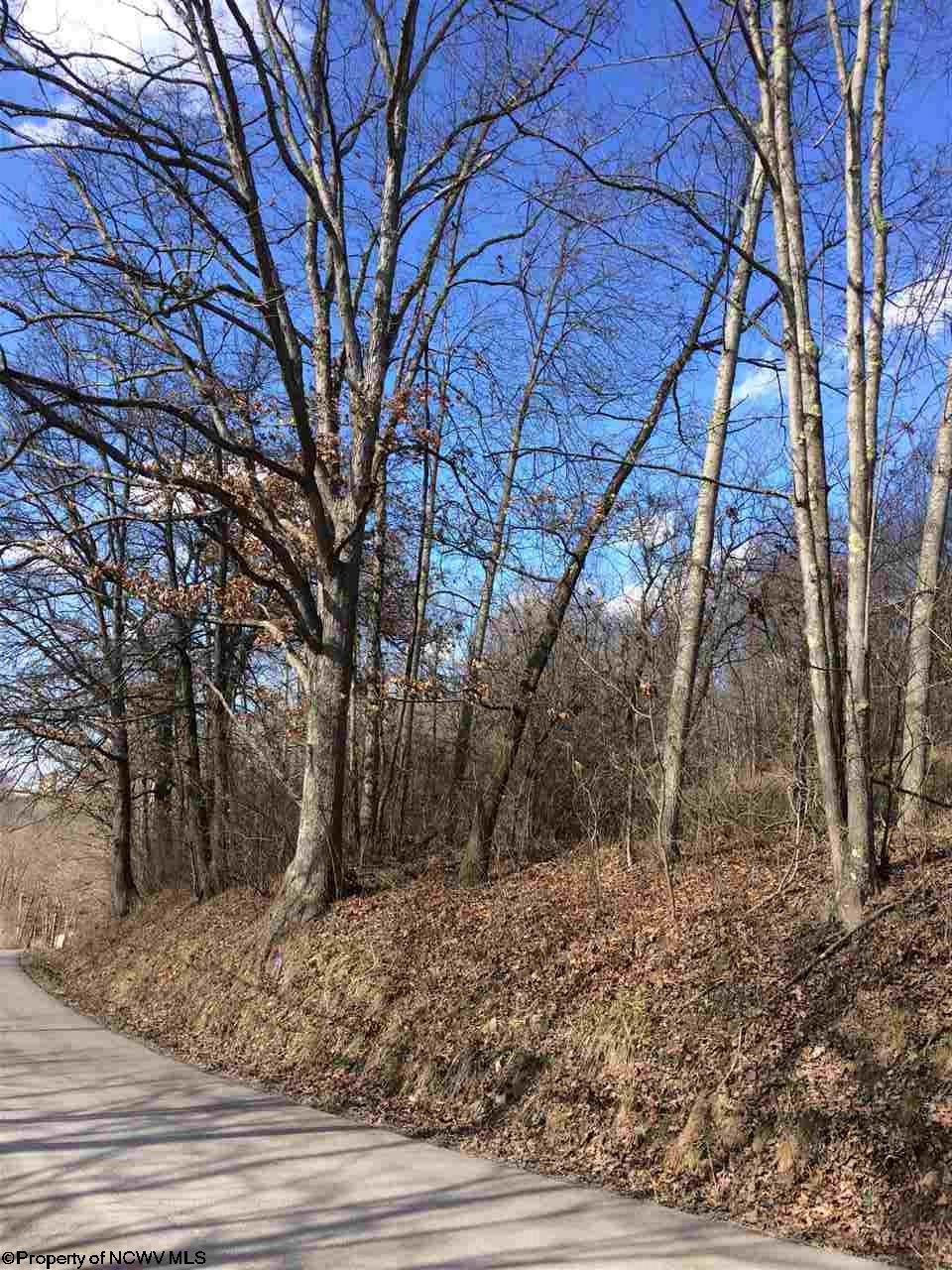 Lot 2 TBD W Herring Road, Masontown, WV 26542