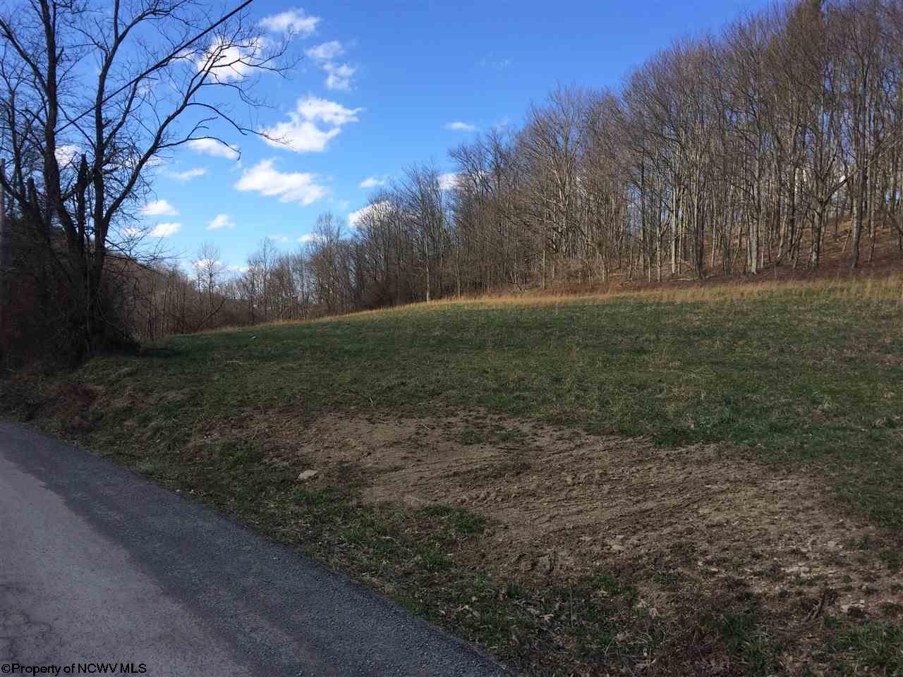 Lot 3 TBD W Herring Road, Masontown, WV 26542
