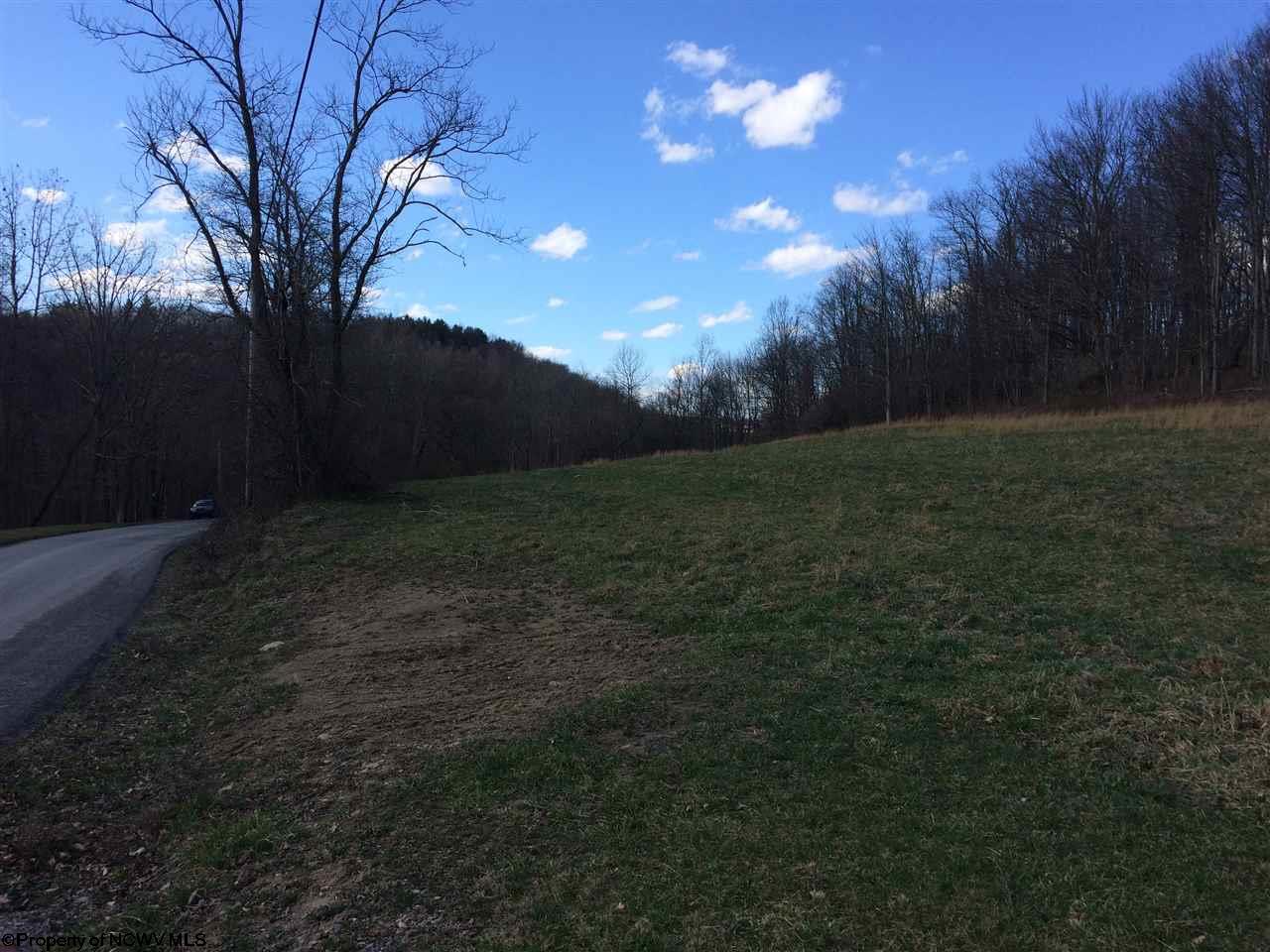 Lot 1 TBD W Herring Road, Masontown, WV 26542