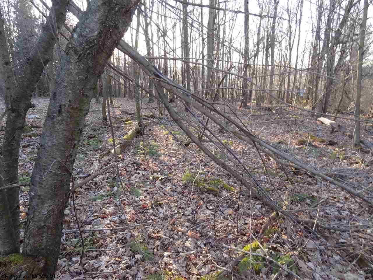 0 Long Hollow Road, Masontown, WV 26542