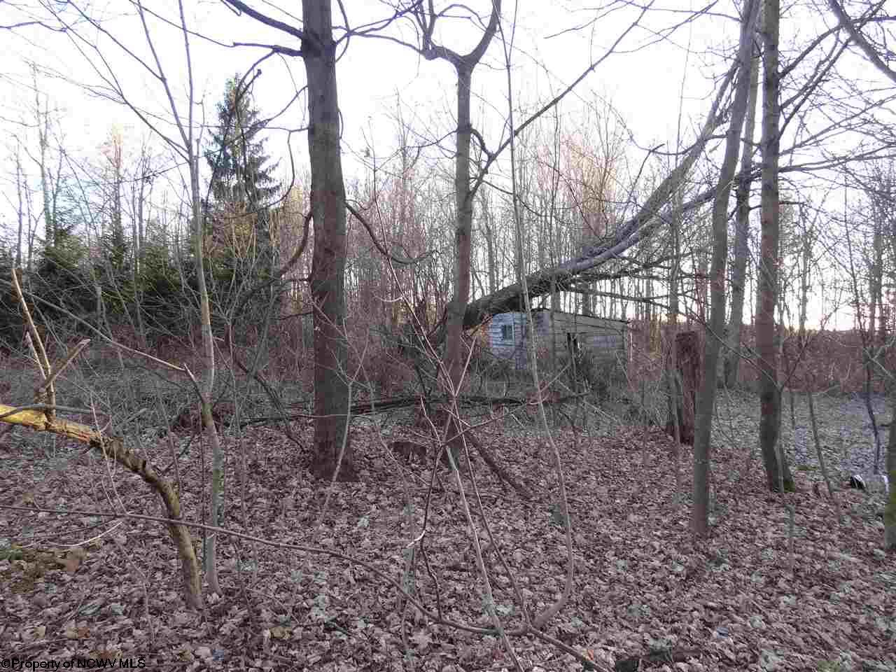 0 Long Hollow Road, Masontown, WV 26542