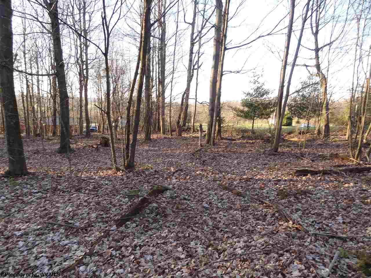 0 Long Hollow Road, Masontown, WV 26542
