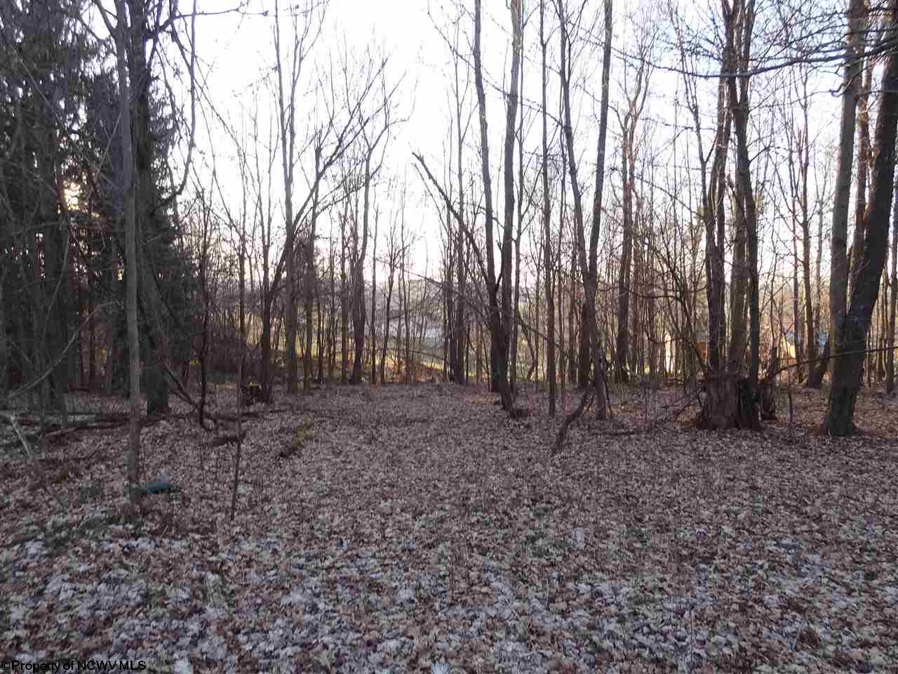 0 Long Hollow Road, Masontown, WV 26542