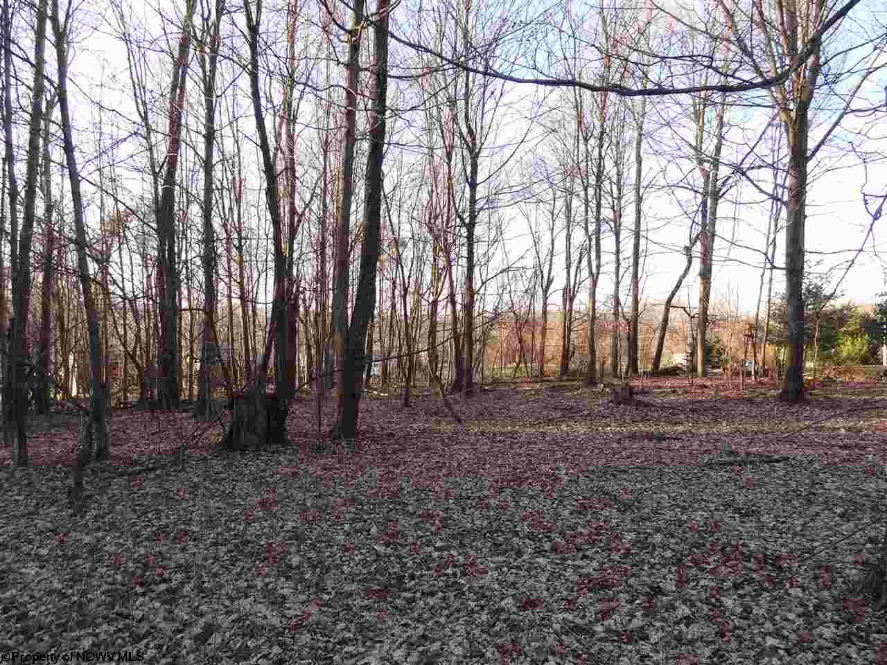 0 Long Hollow Road, Masontown, WV 26542