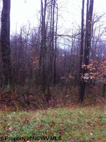 Lot 10 Rt 19, Rohr Rd