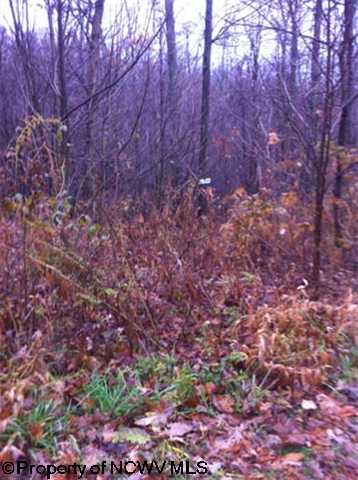 Lot 10 Rt 19, Rohr Rd