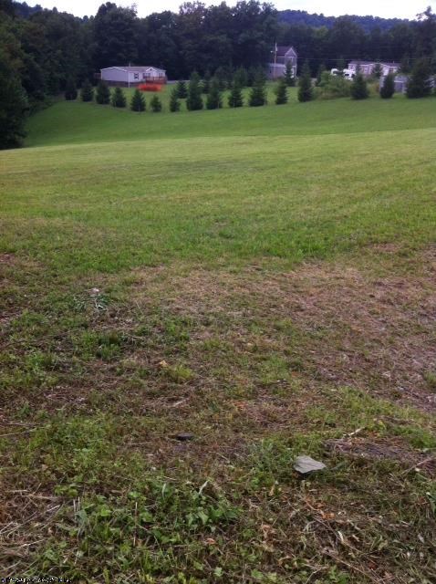 Lot 10 Rt 19, Rohr Rd
