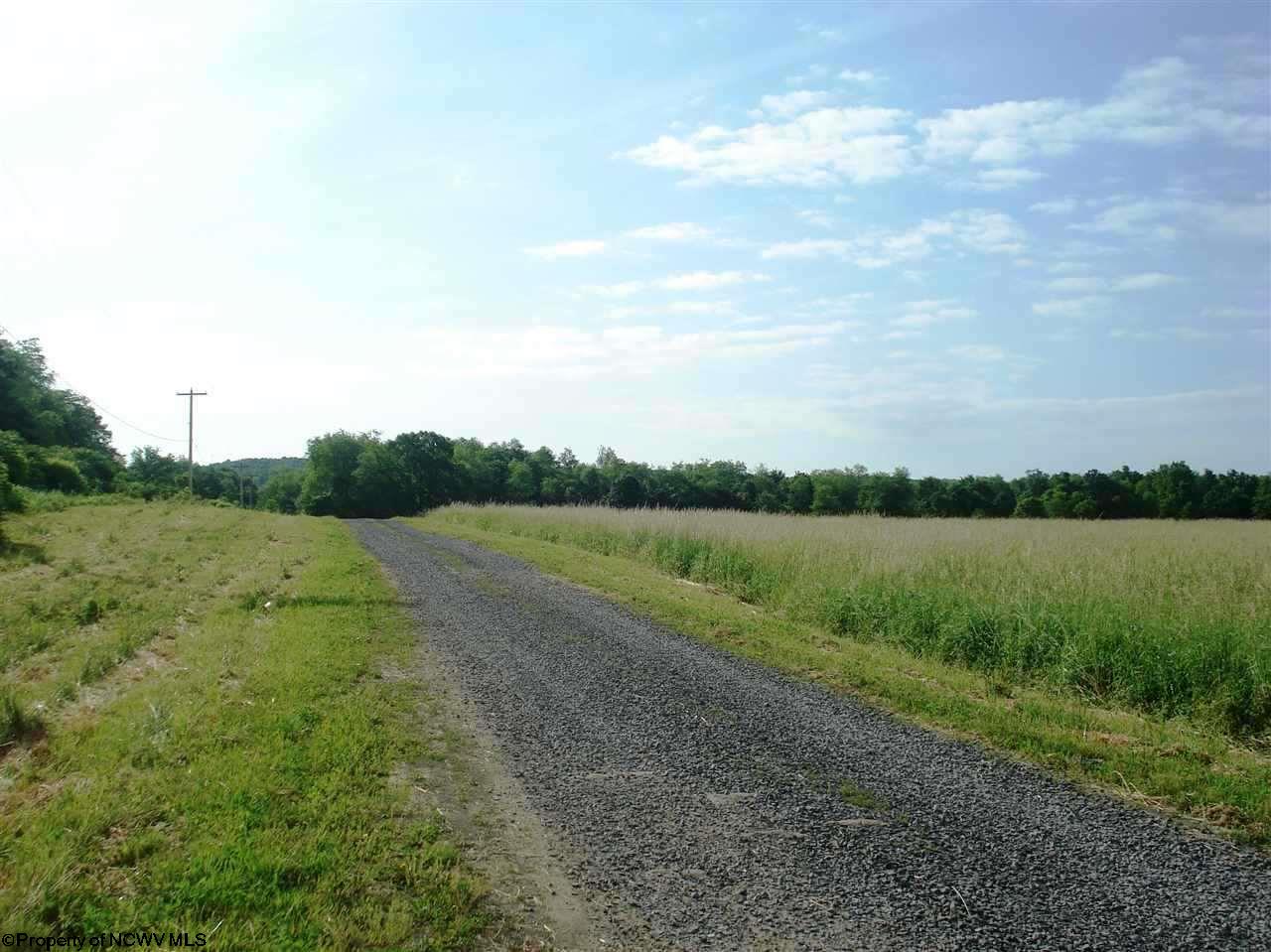 Lot 10 Louise Street, Reedsville, WV 26547