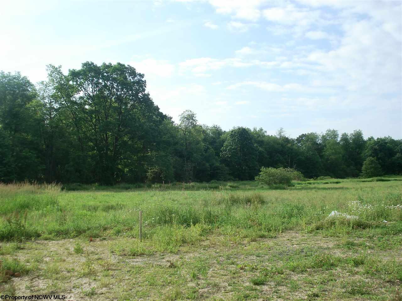 Lot 10 Louise Street, Reedsville, WV 26547