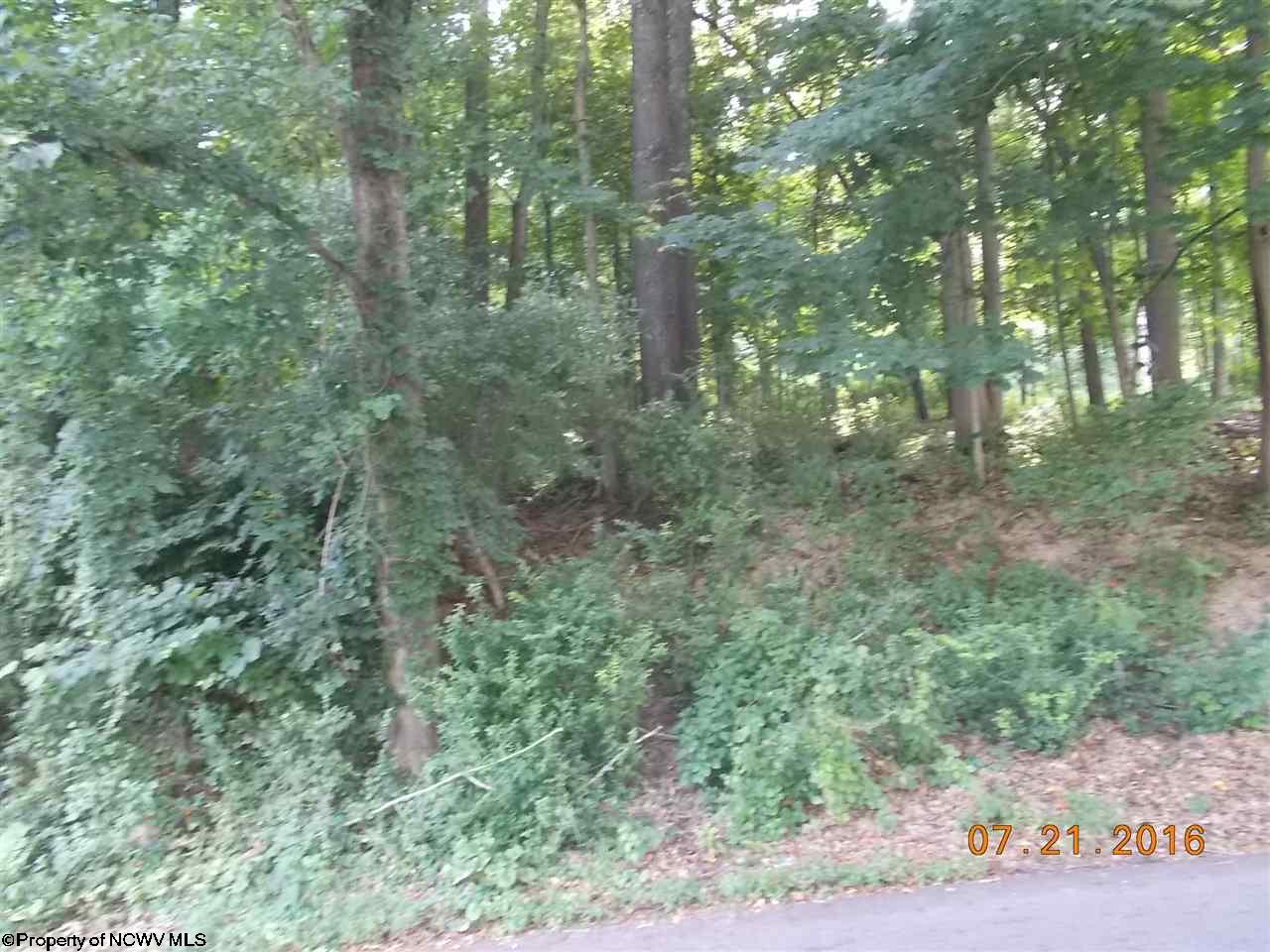 HENRY Drive, Fairmont, WV 26554