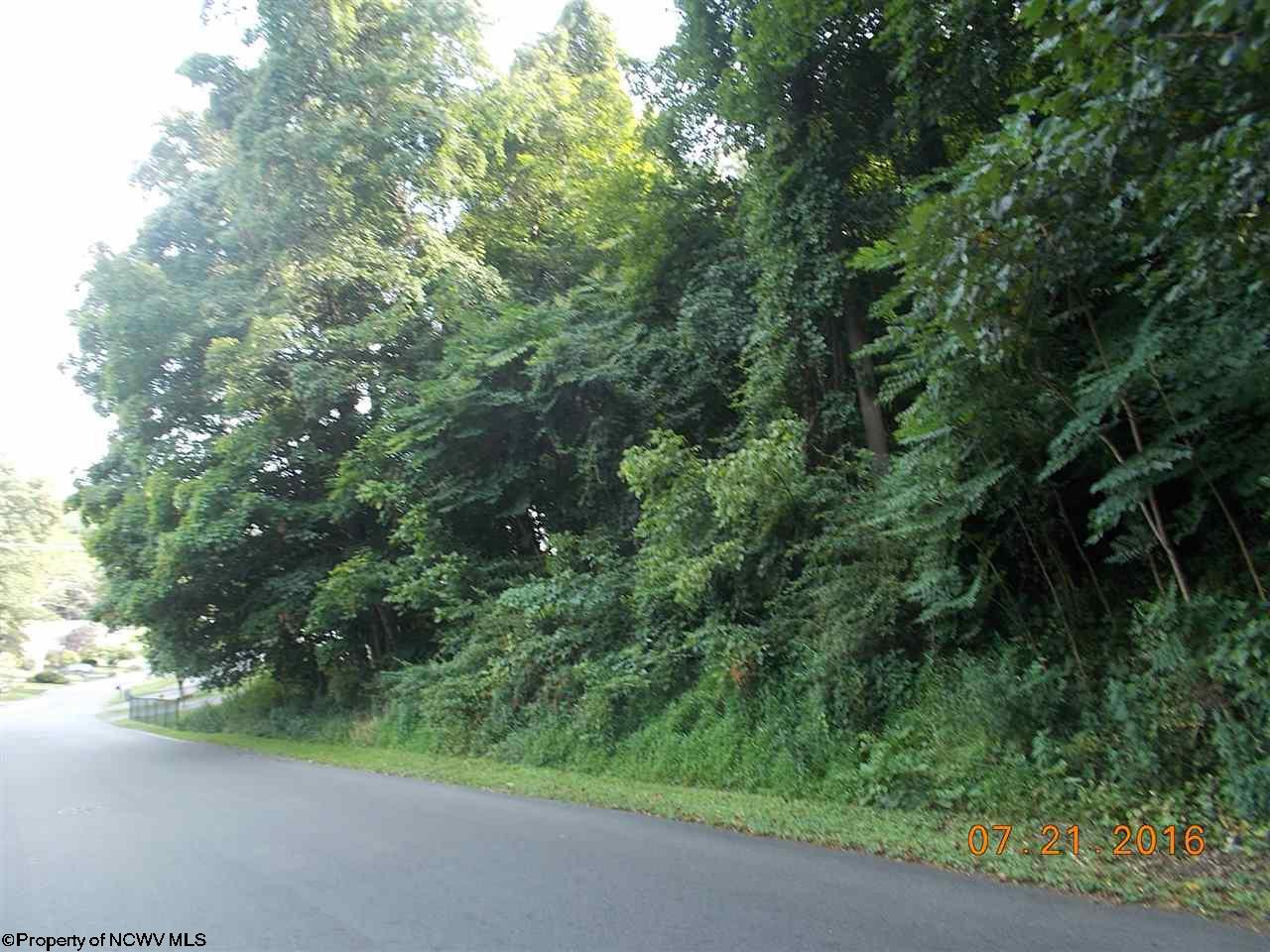 HENRY Drive, Fairmont, WV 26554