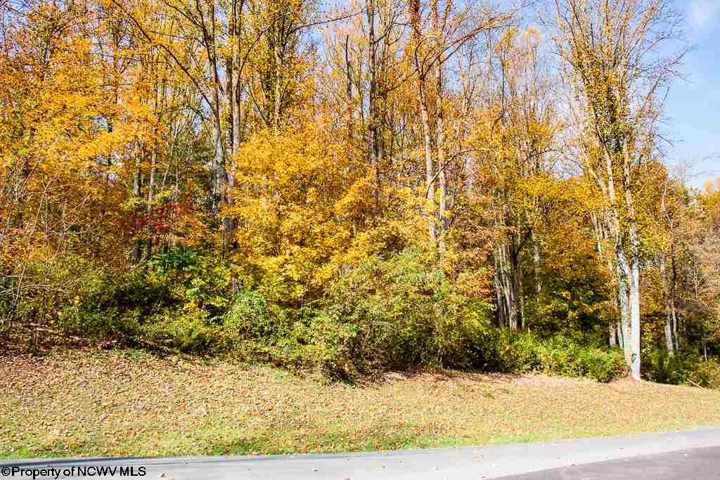 Lot 62 Samantha Drive, Fairmont, WV 26554