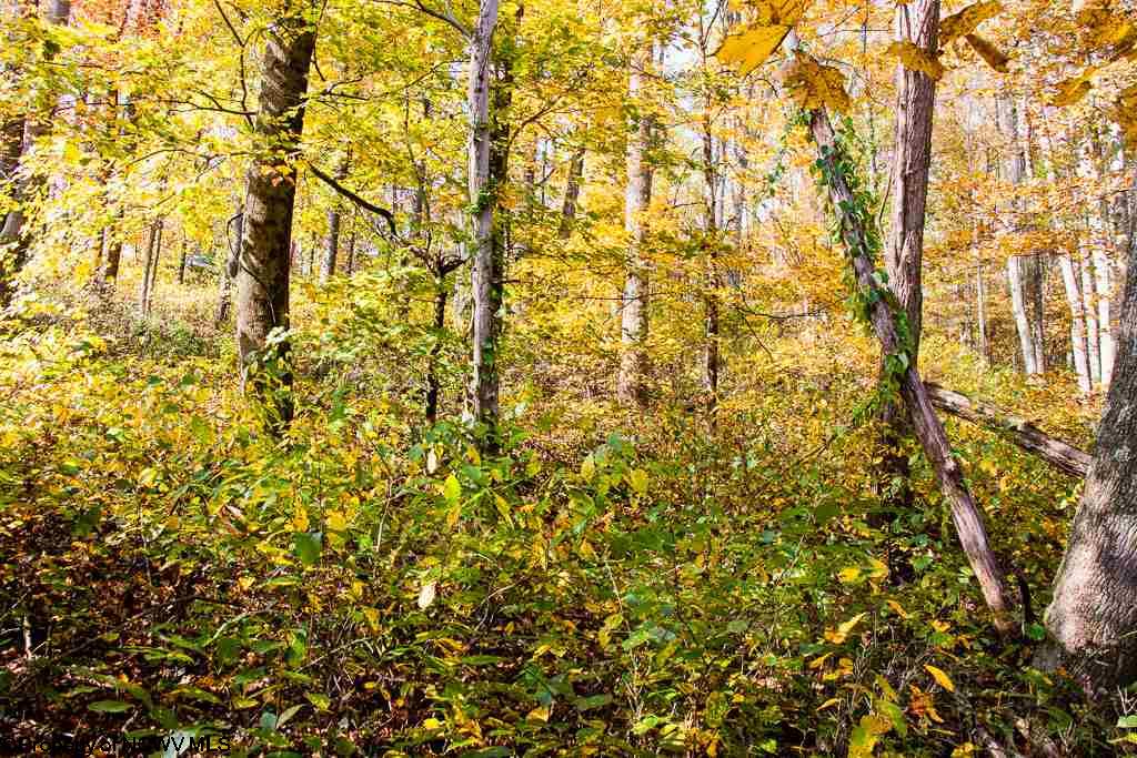 Lot 62 Samantha Drive, Fairmont, WV 26554