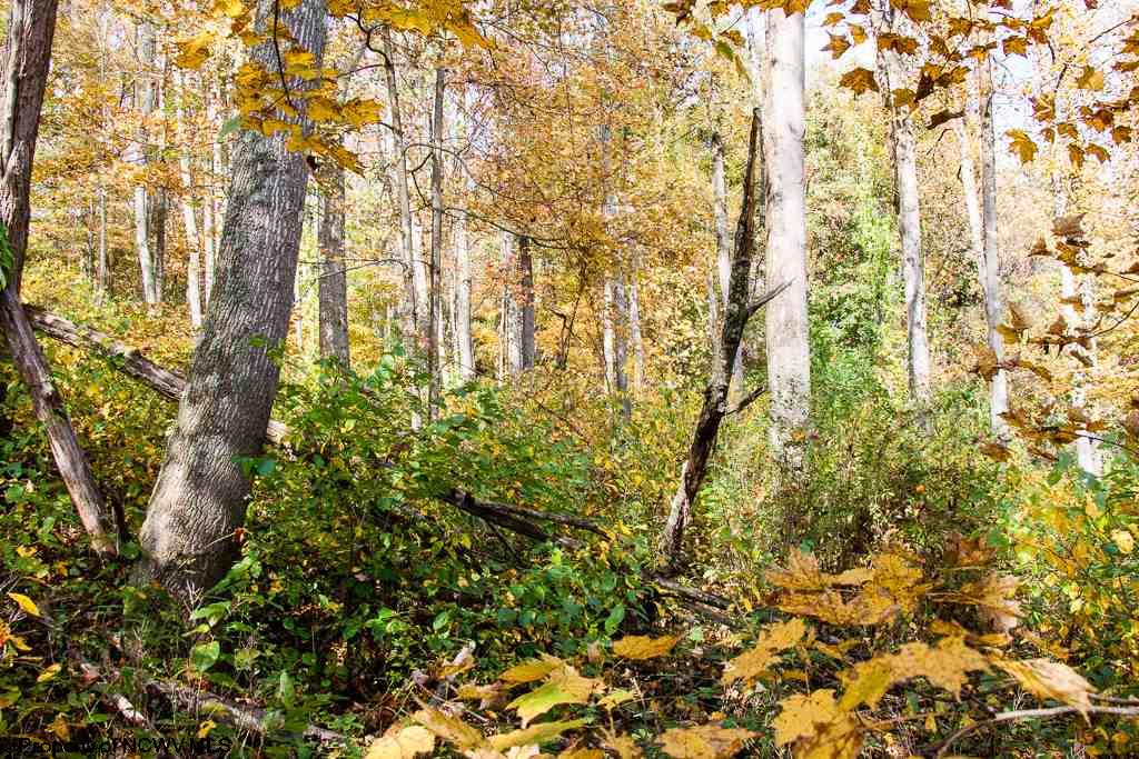 Lot 62 Samantha Drive, Fairmont, WV 26554
