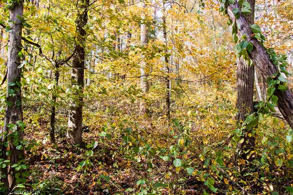 Lot 62 Samantha Drive, Fairmont, WV 26554