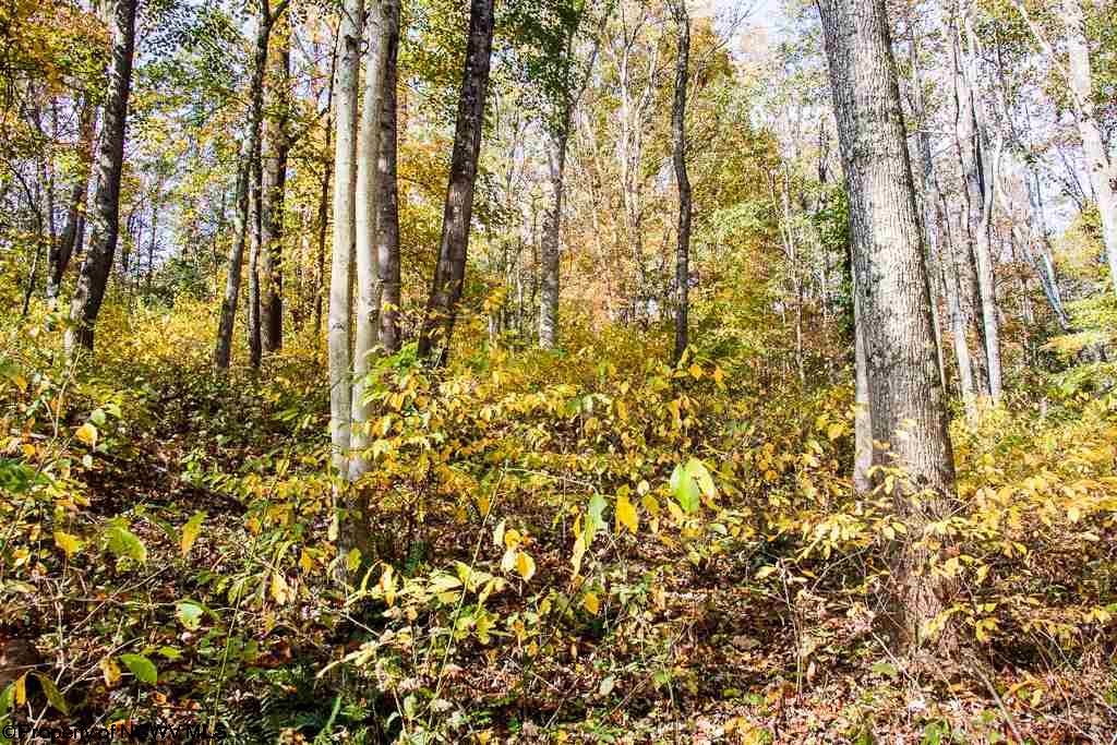 Lot 62 Samantha Drive, Fairmont, WV 26554