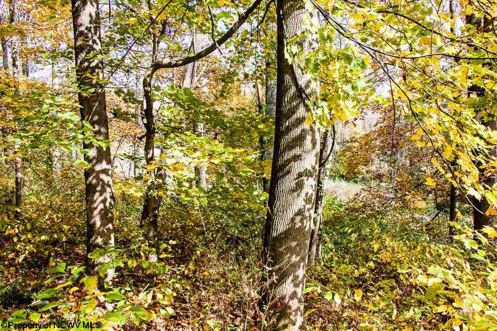 Lot 62 Samantha Drive, Fairmont, WV 26554