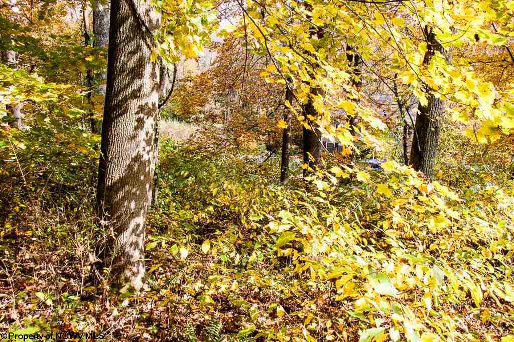 Lot 62 Samantha Drive, Fairmont, WV 26554