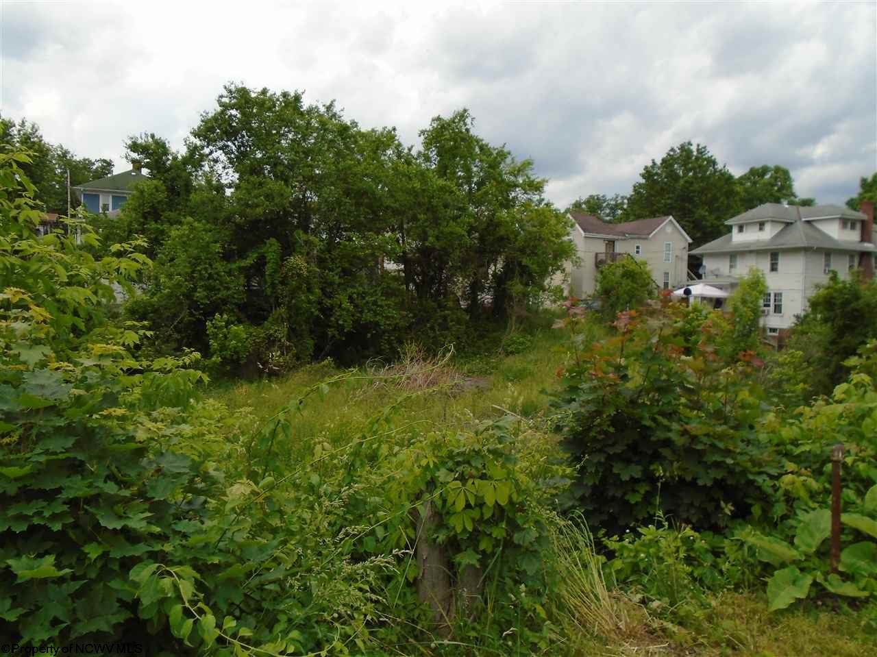 507,509,511 Benoni Avenue, Fairmont, WV 26554