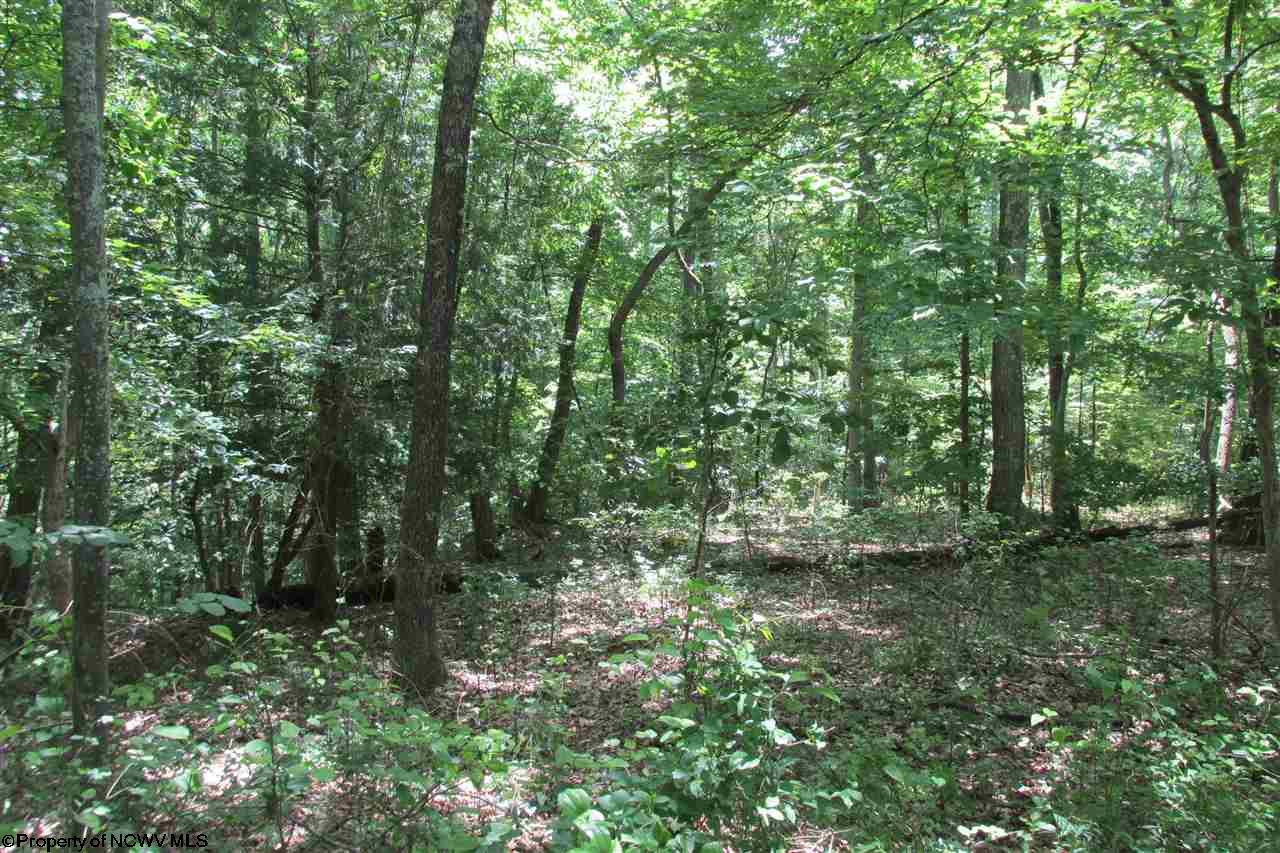 8.417 acres Hammond Road, Fairmont, WV 26554
