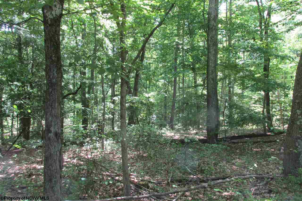 8.417 acres Hammond Road, Fairmont, WV 26554
