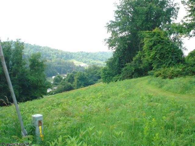 Lot 4 David Daniels Drive