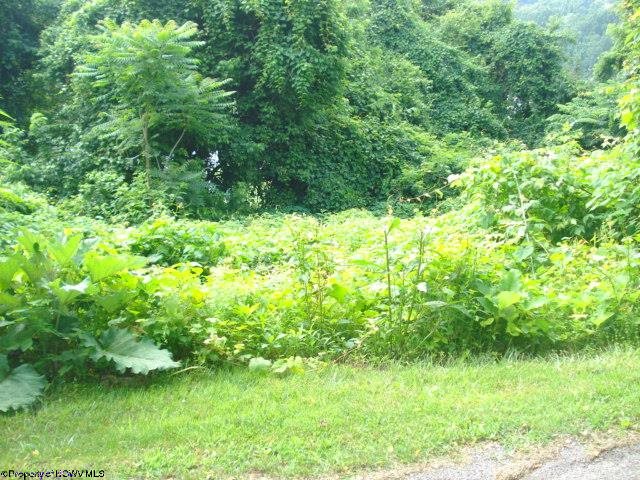 Lot 4 David Daniels Drive