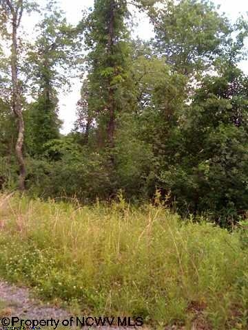 Lot 4 David Daniels Drive